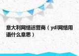 意大利網(wǎng)絡(luò)運(yùn)營(yíng)商（ydl網(wǎng)絡(luò)用語(yǔ)什么意思）