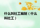 什么叫社工編制（什么叫社工）