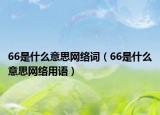 66是什么意思網(wǎng)絡詞（66是什么意思網(wǎng)絡用語）