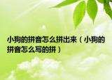 小狗的拼音怎么拼出來(lái)（小狗的拼音怎么寫的拼）