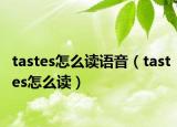 tastes怎么讀語音（tastes怎么讀）
