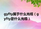gyfty屬于什么光纜（gyfty是什么光纜）