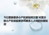 今日更新繼承小產(chǎn)權(quán)房如何分割 村里分的小產(chǎn)權(quán)房能繼承嗎繼承人之間的份額如何