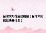 臺灣太陽花運動視頻（臺灣太陽花運動是什么）