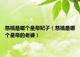 慈禧是哪個(gè)皇帝妃子（慈禧是哪個(gè)皇帝的老婆）