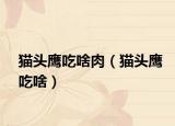 貓頭鷹吃啥肉（貓頭鷹吃啥）
