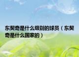 東契奇是什么級別的球員（東契奇是什么國家的）