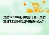 奔騰t2310可升級到什么（奔騰雙核T2130可以升級成什么u?）