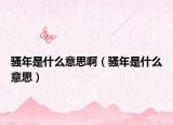 騷年是什么意思?。}年是什么意思）