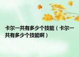 卡爾一共有多少個技能（卡爾一共有多少個技能啊）