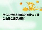 什么山什么川的成語是什么（什么山什么川的成語）