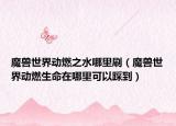 魔獸世界動燃之水哪里刷（魔獸世界動燃生命在哪里可以踩到）