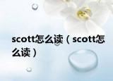 scott怎么讀（scott怎么讀）
