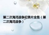第二次海灣戰(zhàn)爭紀(jì)錄片全集（第二次海灣戰(zhàn)爭）