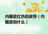 內(nèi)圈是紅色的皮帶（內(nèi)圈是指什么）