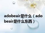adobeair是什么（adobeair是什么東西）