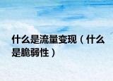 什么是流量變現(xiàn)（什么是脆弱性）