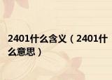 2401什么含義（2401什么意思）