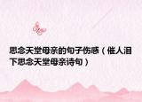 思念天堂母親的句子傷感（催人淚下思念天堂母親詩句）
