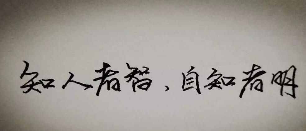寓言故事《烏龜和老鷹》，在風口的豬，等風停了就是死