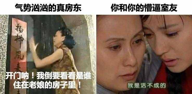 如何學(xué)會(huì)租房？我總結(jié)了租房10條租房避雷口訣！預(yù)算1w的別看