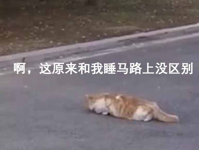 如何學(xué)會(huì)租房？我總結(jié)了租房10條租房避雷口訣！預(yù)算1w的別看