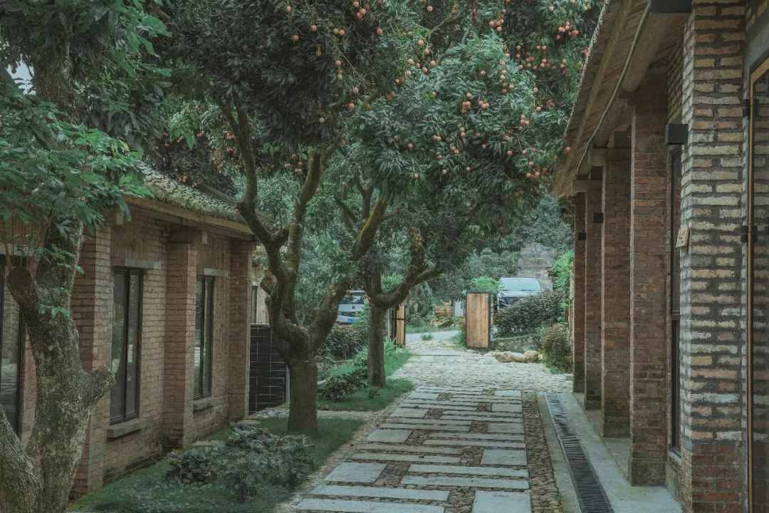 2021必盤(pán)廣州最美民宿，趁還沒(méi)火快去睡