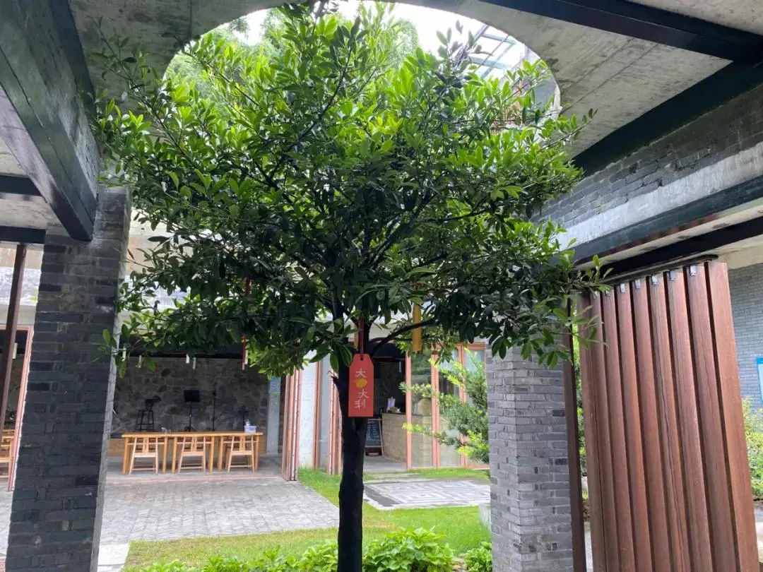 2021必盤(pán)廣州最美民宿，趁還沒(méi)火快去睡