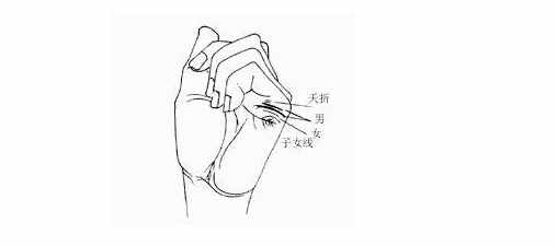 俗話說生男，生女，命中早已注定，伸出手來看看生育線就知道