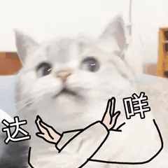 在大學，我們到底應該做什么