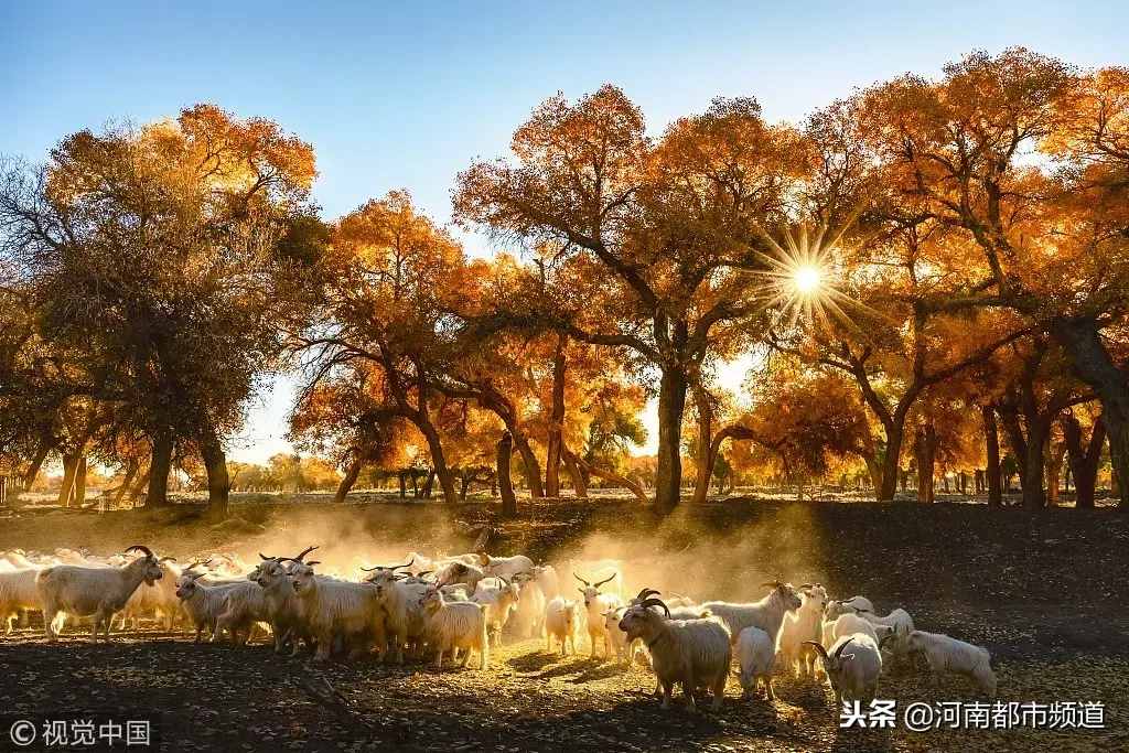 這對(duì)戀人躲在荒漠40年，妻子去世后他做了一個(gè)決定，感動(dòng)數(shù)人……