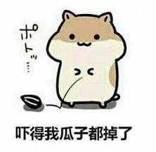 夏天島事件整理——夏天島到底發(fā)生了什么？