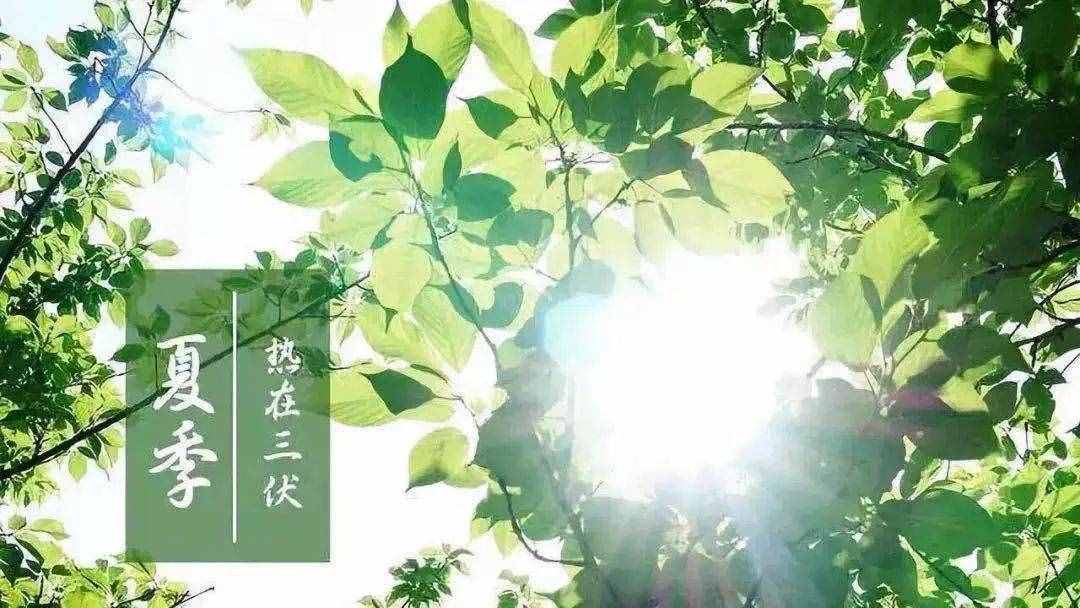 三伏天應(yīng)該怎么艾灸？（值得收藏）