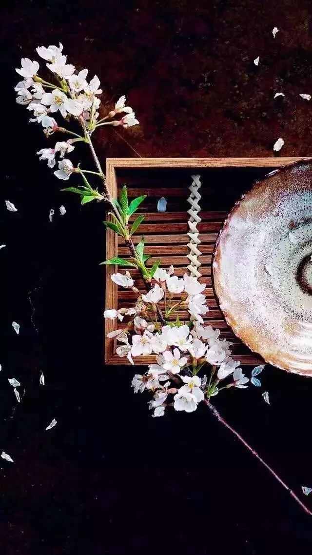 失傳已久的56首養(yǎng)生音樂，一曲終了，病退人安！