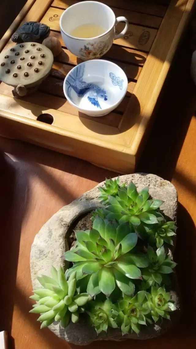 失傳已久的56首養(yǎng)生音樂，一曲終了，病退人安！