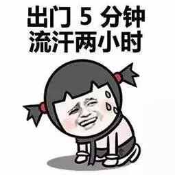 頭伏適合吃什么餡兒的餃子？康叔給大家推薦這種，營(yíng)養(yǎng)特別好