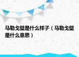 馬勒戈壁是什么樣子（馬勒戈壁是什么意思）