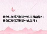 春色紅梅香萬樹是什么生肖動物?（春色紅梅香萬樹是什么生肖）