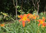 今日更新媽媽過(guò)生日送什么好(送媽媽便宜又有面子的禮物)