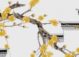 今日更新車(chē)牌號(hào)碼的含義（車(chē)牌號(hào)的數(shù)字代表什么意義）