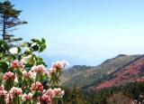 今日更新湖北旅游景點(diǎn)推薦（湖北10大必去之地）