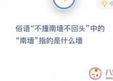 今日更新不撞南墻不回頭的南墻是什么意思（俗語不撞南墻不回頭中的南墻指的是什么墻）