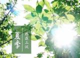 今日更新三伏天艾灸養(yǎng)生（三伏天應(yīng)該怎么艾灸）