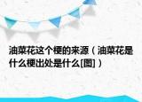 油菜花這個梗的來源（油菜花是什么梗出處是什么[圖]）