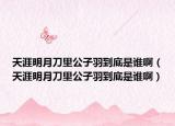 天涯明月刀里公子羽到底是誰啊（天涯明月刀里公子羽到底是誰啊）