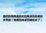 最初的相遇最后的別離湛羽是被誰殺死的（相遇別離湛羽被誰殺了）