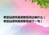 老鼠鉆進風箱里歇后語比喻什么（老鼠鉆進風箱里歇后語下一句）