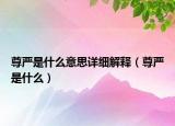 尊嚴(yán)是什么意思詳細(xì)解釋（尊嚴(yán)是什么）