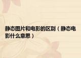 靜態(tài)圖片和電影的區(qū)別（靜態(tài)電影什么意思）