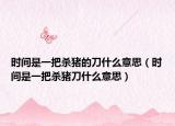 時間是一把殺豬的刀什么意思（時間是一把殺豬刀什么意思）